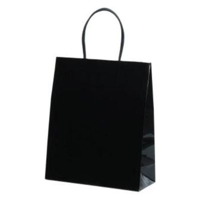 パックタケヤマ 紙手提袋 STB プリティ 黒 XZT00806 1ケース(100個(10個×10))（直送品）