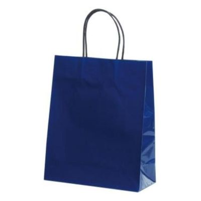 パックタケヤマ 紙手提袋 STB プリティ 紺 XZT00808 1ケース(100個(10個×10))（直送品）