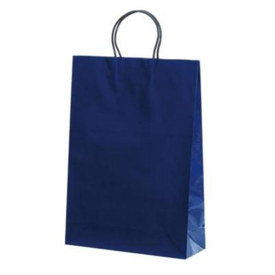 パックタケヤマ 紙手提袋 ST2才 プリティ 紺 XZT00835 1ケース(100個(10個×10))（直送品）