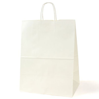 パックタケヤマ 紙手提袋 自動手提袋 HV80 晒 無地 XZT00932 1ケース(200個(50個×4))（直送品）