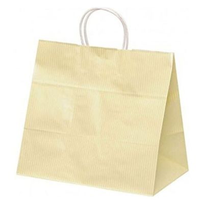 パックタケヤマ 紙手提袋 自動手提袋 HV75 クリスタル イエロー XZT00942 1ケース(200個(50個×4))（直送品）