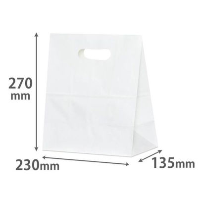 パックタケヤマ 紙手提袋 イーグリップ LL 白無地 XZT52024 1ケース(500個(50個×10))（直送品）