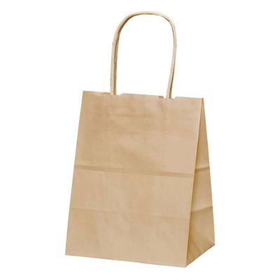 パックタケヤマ 紙手提袋 自動手提袋 HV20 未晒 無地 XZT68660 1ケース(200個(50個×4))（直送品）