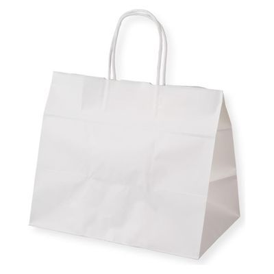 パックタケヤマ 紙手提袋 自動手提袋 HV2315 晒 無地 XZT68661 1ケース(200個(50個×4))（直送品）