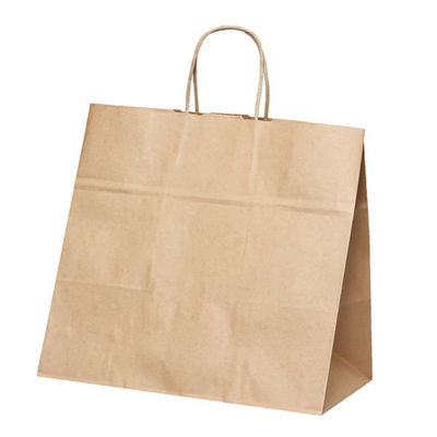 パックタケヤマ 紙手提袋 自動手提袋 HV85 未晒 無地 XZT68985 1ケース(200個(50個×4))（直送品）