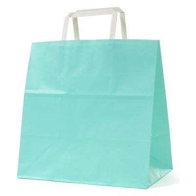 パックタケヤマ 紙手提袋 平紐手提袋 H平26 スカイ XZTT1015 1ケース(200個(50個×4))（直送品）