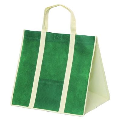 パックタケヤマ 持ち帰り袋 ソフトバッグ3827グリーン XZV01419 1ケース(100個(10個×10))（直送品）