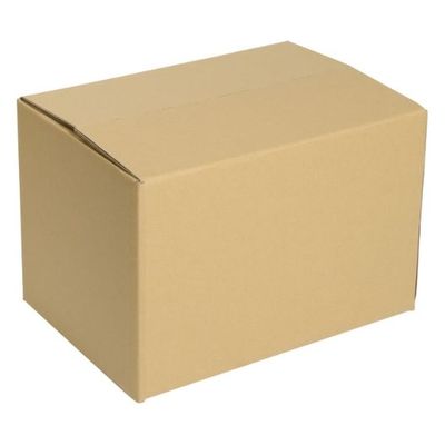 ヒラダン ダンボールB-4 JAN付 罫線入 00400648 1袋(10個)（直送品）