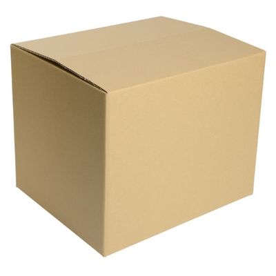 ヒラダン ダンボールS-5 JAN付 罫線入 00400649 1袋(10個)（直送品）