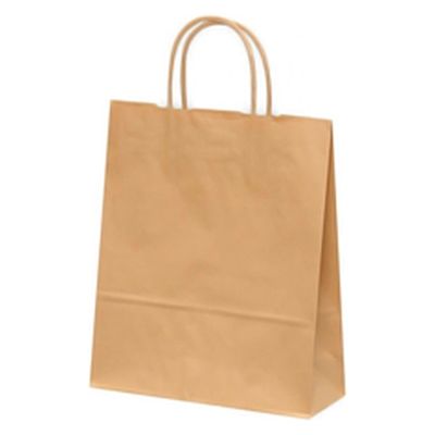 パックタケヤマ 紙手提袋 自動手提袋 HBT 未晒無地 XZT00900 1ケース(200個(50個×4))（直送品）