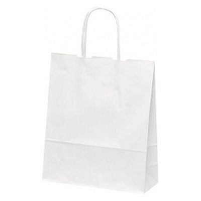 パックタケヤマ 紙手提袋 自動手提袋 HBT 晒無地 新 262336 1袋(50個)（直送品）