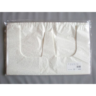 リュウグウ レジ袋 SDバッグ No.9-かすみ 4201529 1ケース(500個(50個×10))（直送品）