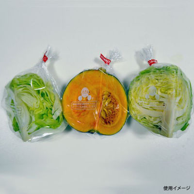 ベルグリーンワイズ 鮮度保持袋 オーラパック少量カット規格品 1706 1ケース(5000個(100個×50))（直送品）