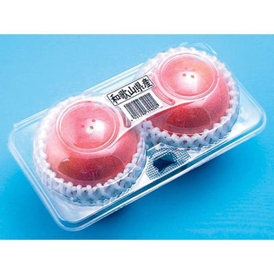 フルーツ容器 フルーツパック L-2 200304 1ケース(1200個(100個×12))（直送品）