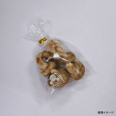 ベルグリーンワイズ 鮮度保持袋 オーラパック8号規格品 2380 1袋(100個)（直送品）