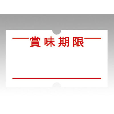 ARC 強粘ラベル 賞味期限 LSPTK 1000枚 1ケース(100個(10個×10))（直送品）