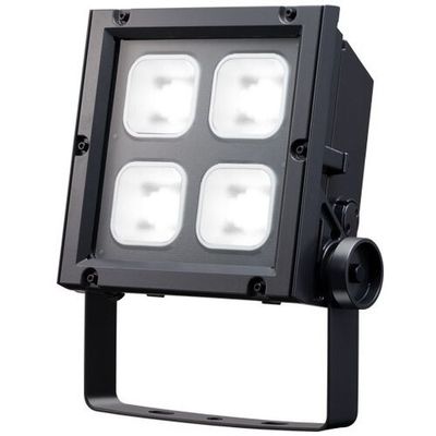 岩崎電気 岩崎 LEDioc FLOOD NEO 170クラス ECF17040SW/NSAN2/DG 1台 679-9737（直送品）