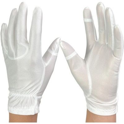 ウインセス WINCESS 防塵手袋 タッチパネル対応 LL (10双入) 3765-LL 1袋(10双) 686-4453（直送品）