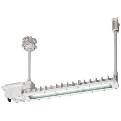 岩崎電気 岩崎 防爆形非常用LED照明器具2灯用パイプ吊形 EXICLA2041ASA9F-22 1台 684-8835（直送品）