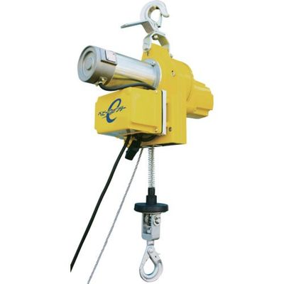 トーヨーコーケン TKK エンドレスタイプ小型ホイスト 300kg 30M 無線型 BW-E300R(30M) 1台 686-4975（直送品）