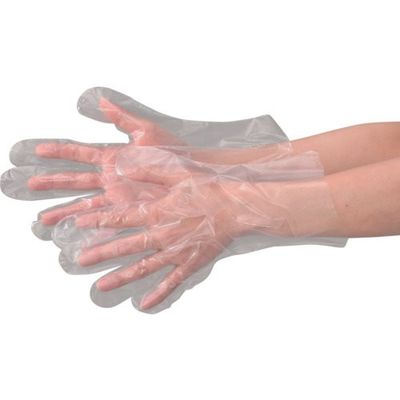 エブノ EBUNO ポリグローブレギュラー半透明袋入SS(100枚入) 304-SS-CL 1袋(100枚) 684-8254（直送品）