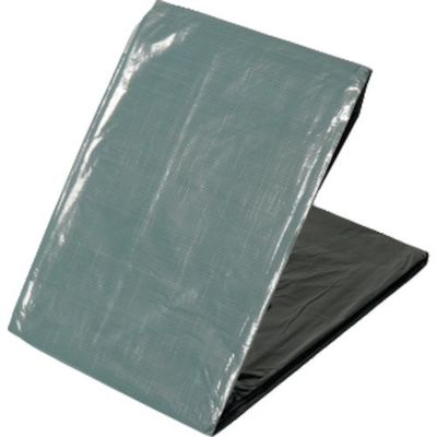 萩原工業 萩原 【売切廃番】 ターピー 1年シート 3.6m×5.4m 1NST-3654 1枚 167-0145（直送品）