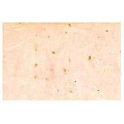 ペーパーインテリジェンス レーヨン雲龍紙金箔 6色計7枚 4101353レーヨンウンリュウセット 1パック（直送品）