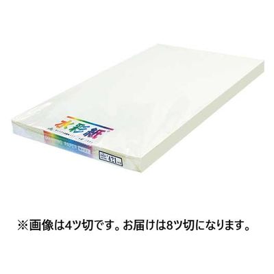 エスケント 水彩画紙8ツ切100枚 No421キャロア キヤロアスイサイNo.421 8ツ 1包（直送品）