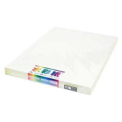 エスケント 水彩画紙4ツ切100枚 No300エスケント スイサイガヨウシ4キリ100NO300 1包（直送品）