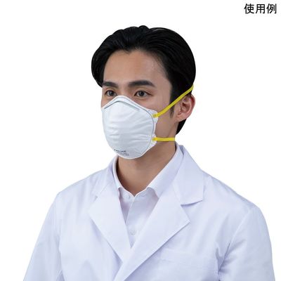 アズワン 折り畳み式防じんマスク DS2 排気弁無 1箱(20枚入) 4-6599-01 1箱(20枚)（直送品）