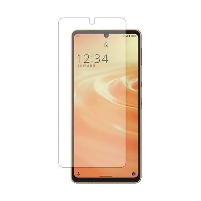 液晶保護フィルム シャープ AQUOS sense6 のぞき見防止 sm-pvt-180-lssm06-mc003522 1枚（直送品）