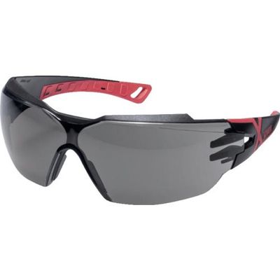 ウベックス UVEX 赤外線遮断保護メガネ フィオス CX2 IR―ex3 9198173 1個 664-6426（直送品）