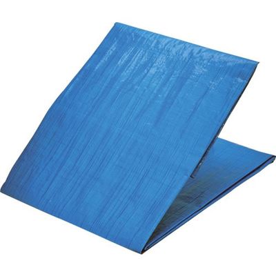 トラスコ中山 TRUSCO ブルーシートエコノミー #2000 2.7mX2.7m BSL20-2727 1枚 652-7557（直送品）