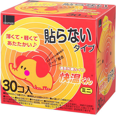 はらない快温くんミニ30コ入 カイロ 防寒 寒さ対策 暖かい 防災 備蓄 小さめ 4547691669711 1箱(1個(30枚入)x16)（直送品）
