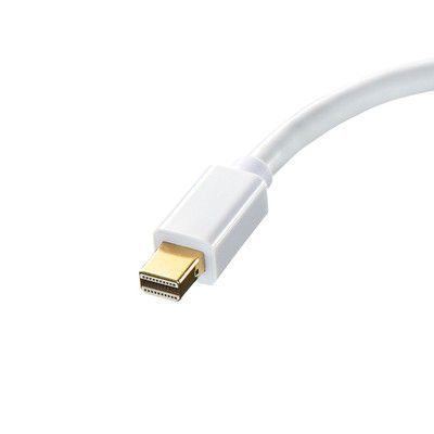 サンワサプライ ミニDisplayPort-DVI変換アダプタ AD-MDPDVA01 1個（直送品）