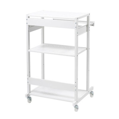 サンワサプライ RoHS10対応ハイスタンドパソコンラック(W650×D610mm) RAC-508 1個（直送品）