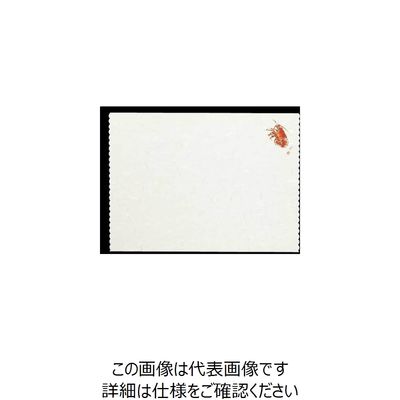 大黒工業 大黒 天ぷら敷紙四季 (エビ) 215670 1組(1000枚) 236-6562（直送品）