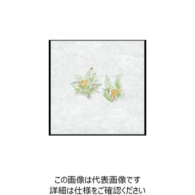 大黒工業 大黒 シースル掛紙 No.11 (ふき) 97940 1組(100枚) 236-1894（直送品）