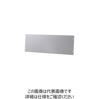 日本緑十字社 緑十字 高輝度蓄光標識貼付用プレート 壁面用 KEP1030 110×324mm 透明 樹脂製 377004 1枚（直送品）
