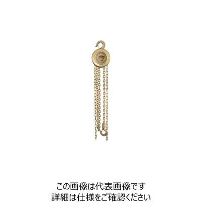 浜田工業 HAMACO 防爆 チェーンホイスト2t CBCHO-2 1台 778-9190（直送品）