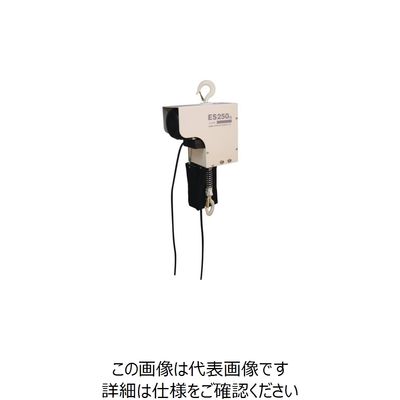 スリーエッチ HHH 電気チェーンブロック ES250X6 1台 131-0628（直送品）