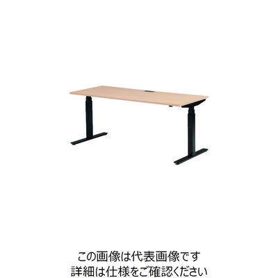 藤沢工業 TOKIO 電動昇降式ワークデスク 間口1800×奥行700×高さ700~1250mm ナチュラル FWD-B187-NR 1台（直送品）