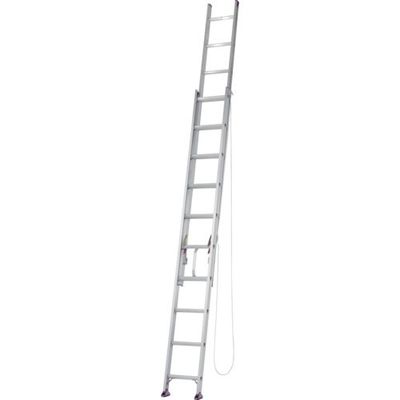 アルインコ 二連はしご CXーDE型 全長3.46m~5.93m 最大使用質量100kg CX60DE 1台 851-4735（直送品）