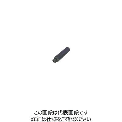 セントラルコンベヤー セントラル チェーン駆動ローラ単体 ダブルホイール φ76×1000W SCW76510-100 813-6585（直送品）