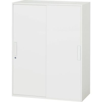 ダイシン工業 DAISHIN 壁面収納庫 引戸型 上下兼用D450 ホワイト V945-12S 1台 856-9833（直送品）