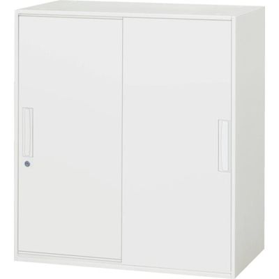 ダイシン工業 DAISHIN 壁面収納庫 引戸型 上下兼用W800 ホワイト V840-09S 1台 856-9600（直送品）