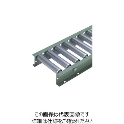 太陽工業 タイヨー φ42スチールローラコンベヤ 機長3000mm 肉厚1.2mm N4214-500-50-3000 1台 126-1250（直送品）