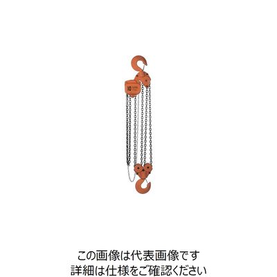 バイタル工業 バイタル チェンブロックVH5シリーズ 10t VH5-90 1台 851-5704（直送品）