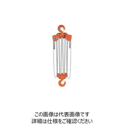 バイタル工業 バイタル チェンブロックVH5シリーズ 15t VH5-92 1台 851-5705（直送品）