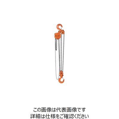 バイタル工業 バイタル チェンブロックVH5シリーズ 7.5t VH5-75 1台 851-5703（直送品）